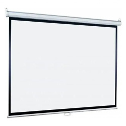 Экран для проектора Lumien 127x127см Eco Picture LEP-100106 (1:1, Matte White, настенно-потолочный, белый корпус)